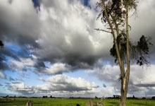 特瓦斯讽刺皇马：NBA球员每隔24小时就比赛，他们一定都死了.