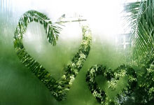 尊龙凯时：真是胡整！球队惨败外援玩嗨，一人出手次数，比所有本土还多4次.