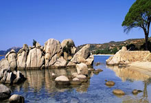 近8成控球率却输球!西队长：垃圾!对手踢的不是足球.